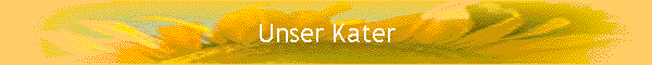 Unser Kater