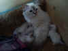 DSC00874.JPG (39895 Byte)