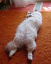 DSC01217.jpg (44045 Byte)