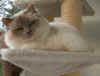 DSCN1488.JPG (48626 Byte)