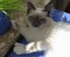 kruemmel16.02.07-002.gif (29399 Byte)