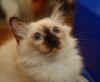 moritz115DSC03099.jpg (8187 Byte)