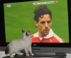 murphytv.gif (29560 Byte)